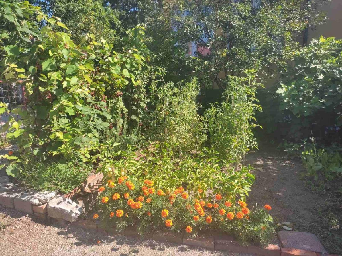 Apartman Hujic Bihać エクステリア 写真